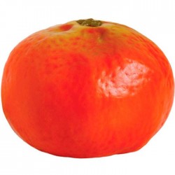 Mandarina lisa artificial