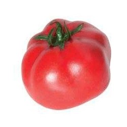 Tomate raf artificial