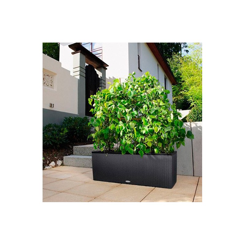 Jardinera trio cottage Lechuza