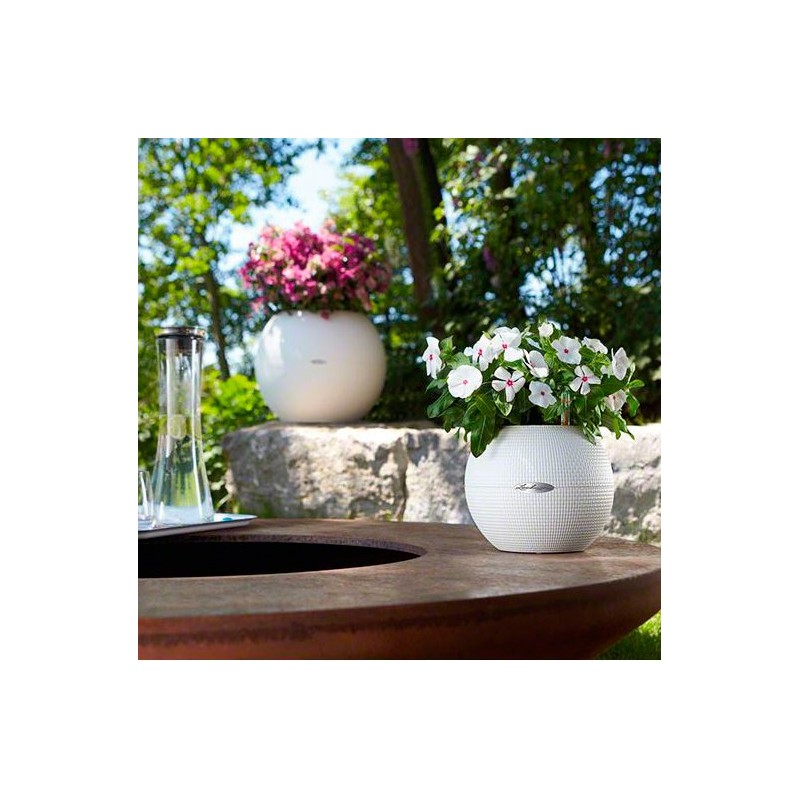 Macetero puro Lechuza