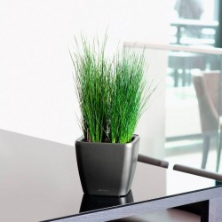 Macetero quadro Lechuza