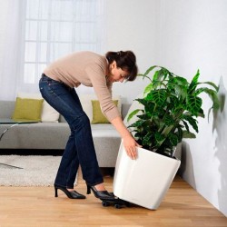 Macetero quadro Lechuza