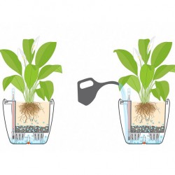 Macetero quadro Lechuza