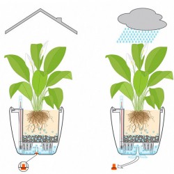 Macetero quadro Lechuza