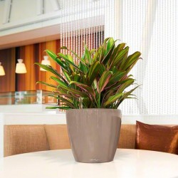 Macetero classico Lechuza