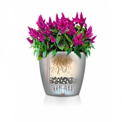 Macetero classico Lechuza