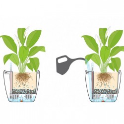 Macetero classico Lechuza