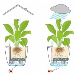 Macetero classico Lechuza