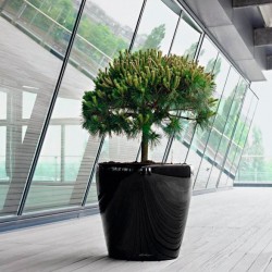 Macetero classico 60 + 70 Lechuza