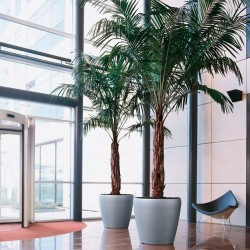 Macetero classico 60 + 70 Lechuza