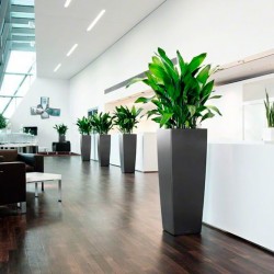 Macetero cubico alto Lechuza