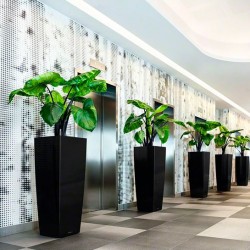 Macetero cubico alto Lechuza