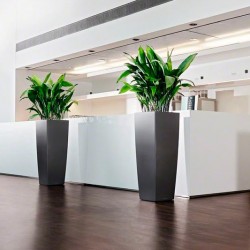 Macetero cubico alto Lechuza