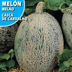 MELON CASCA DE CARVALHO