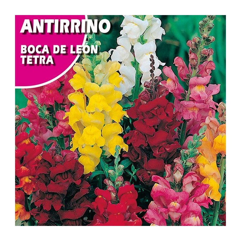 ANTIRRINO BOCA DE LEON "TETRA"