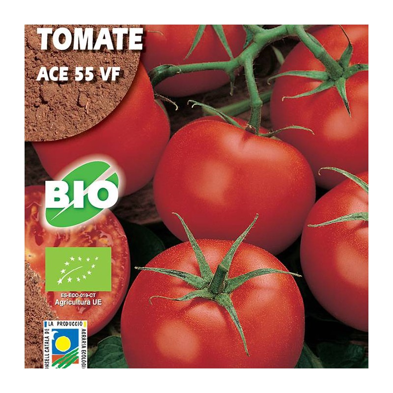 Semillas ecológicas tomate ace 55 vf