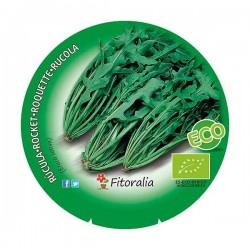 Rúcula ecológica