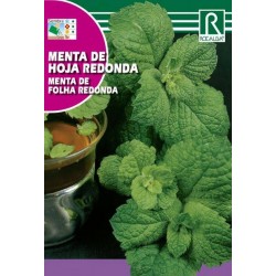 Semillas menta de hoja redonda