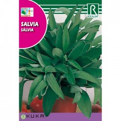 Semillas salvia officinalis