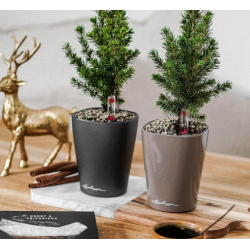 Macetero mini deltini Lechuza