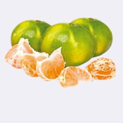 Mandarino satsuma