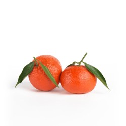 Mandarino oronules