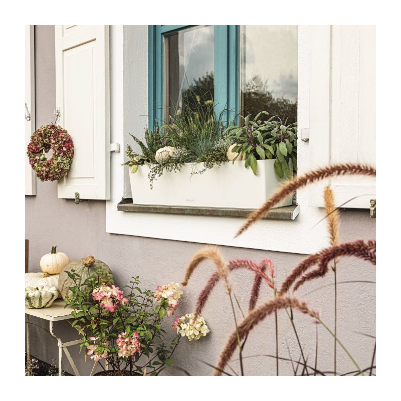 Balconera color Lechuza