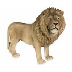 Figura leon