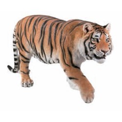 Figura tigre