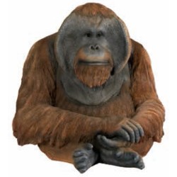 Figura orangutan