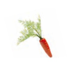 Zanahoria artificial