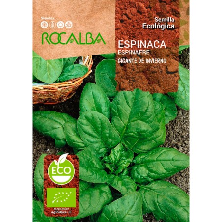 Semillas Ecológicas De Espinaca De Invierno Mascarell, 8 Gramos, Para Huerto Casero, Cultivo Sostenible Y Libre De Químicos, Ideales Para Cosechas Frescas En Otoño E Invierno