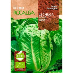 Semillas ecológicas Lechuga Inverna