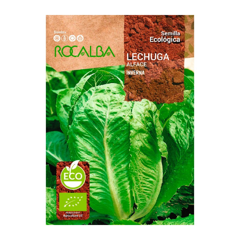 Semillas ecológicas Lechuga Inverna