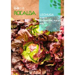 Semillas Lechuga Red Salad...