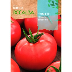 Semillas Tomate Berner Rose