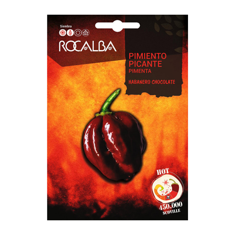 Semillas pimiento picante habanero chocolate