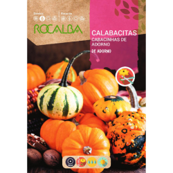 calabacitas adorno variadas