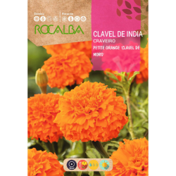 CLAVEL DE INDIA PETITE ORANGE "CLAVEL DE MORO"