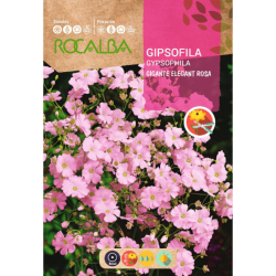 gipsofila gigante elegant rosa