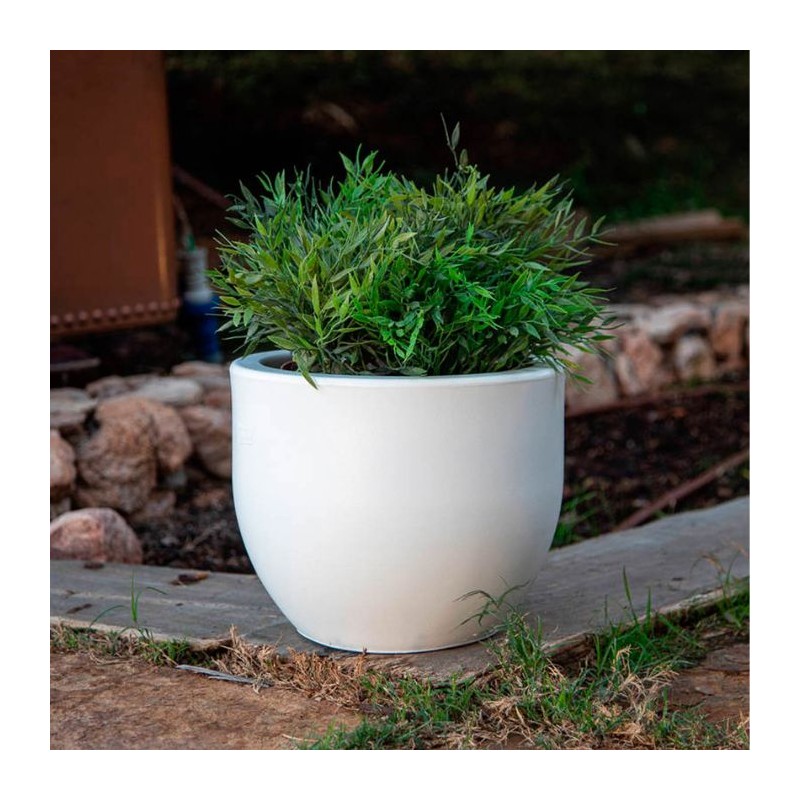 macetero azalea new garden