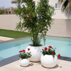 comprar macetero dalia