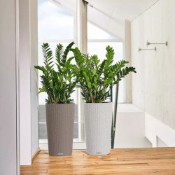 Macetero cilindro cottage Lechuza