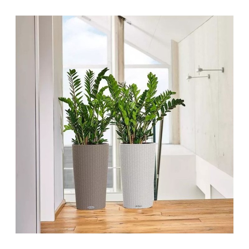 Macetero cilindro cottage Lechuza