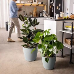 Macetero color ECO Lechuza