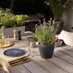 Macetero classico color ECO