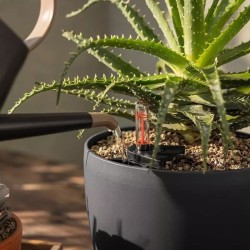 Macetero classico color