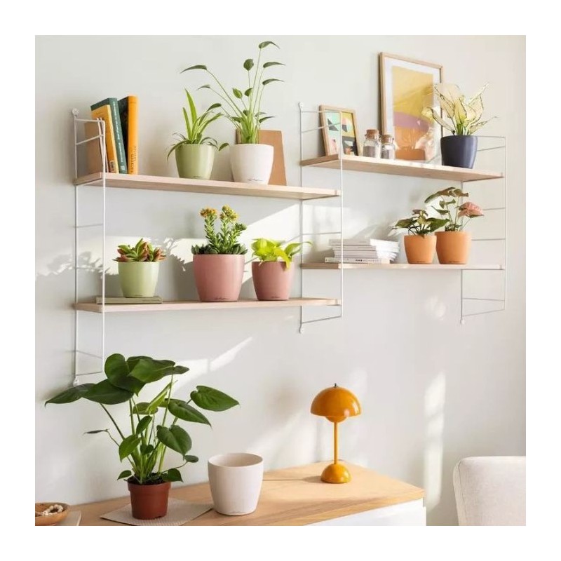 Macetero classico color DECO