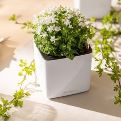 Macetero cube glossy