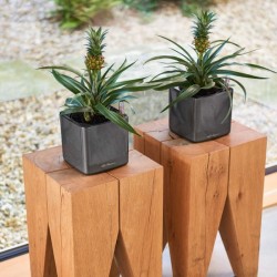 Maceta cube glossy Lechuza